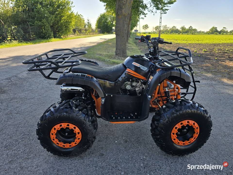 Quad Kxd pro 125cc z wstecznym Stan Nowy benzyna kujawsko-pomorskie Kruszwica sprzedam
