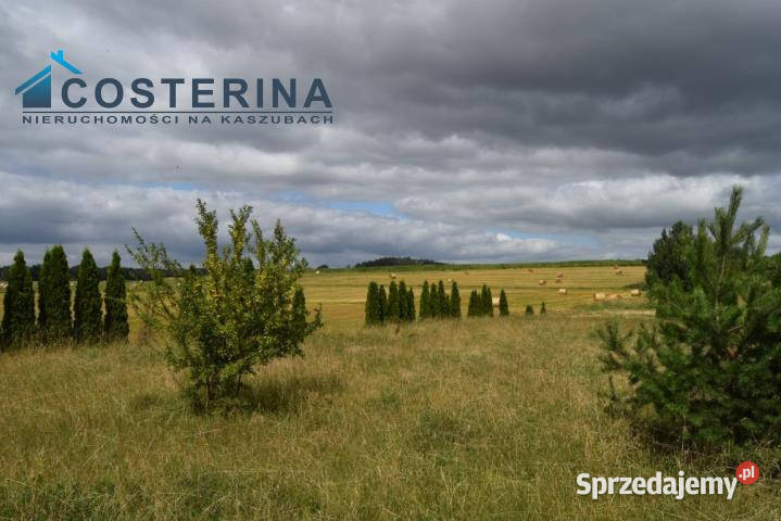 Działkę sprzedam 1545m Lubieszyn