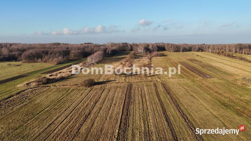 Działka Jodłówka 8587m2 małopolskie