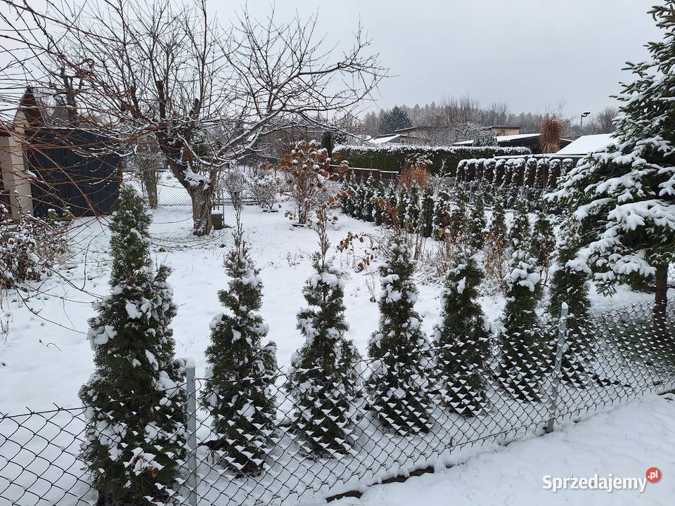 Działka rekreacyjna Rod Rozkwit Wodzisław Śląski