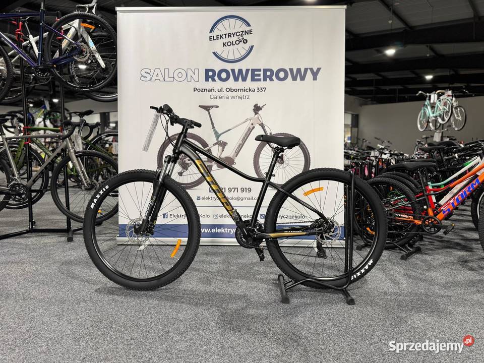 Rower MTB Storm SHARK 29 Rama 16 LADY 20 Raty 0