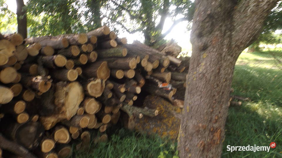 Drewno opałowe jesion i akacja suche Łuków sprzedam