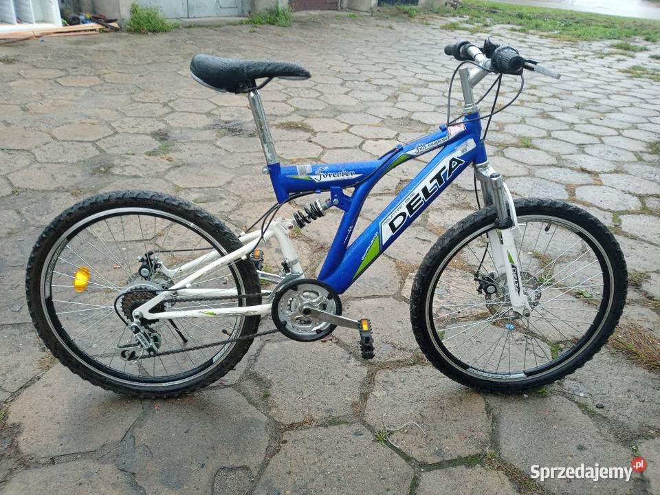 Romet Delta Arkus Forester 24 cale Łódź