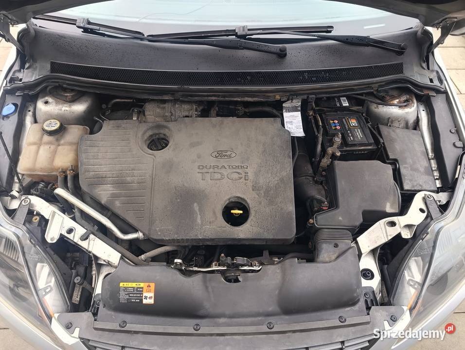 Ford focus 2009r 18 tdci 85kw Pleśna