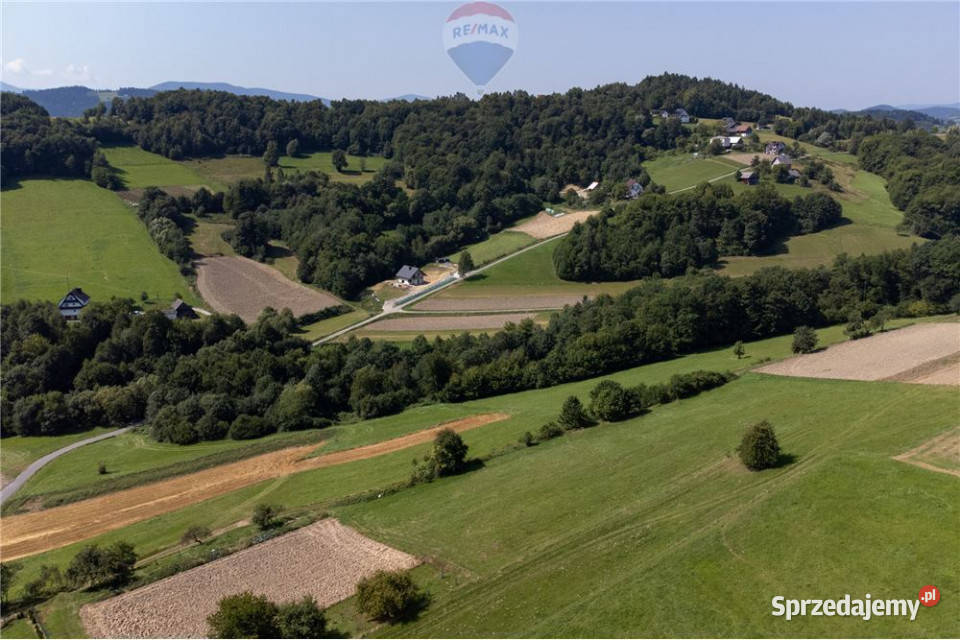 Grunty 5 400 m widok las i działka z WZ Młynne sprzedam