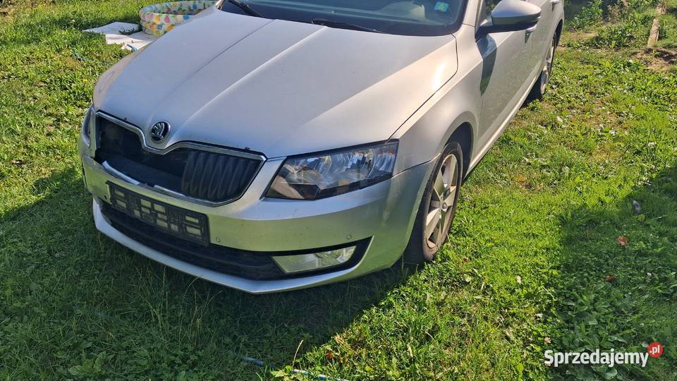 Skoda Octawia 3 Rogów
