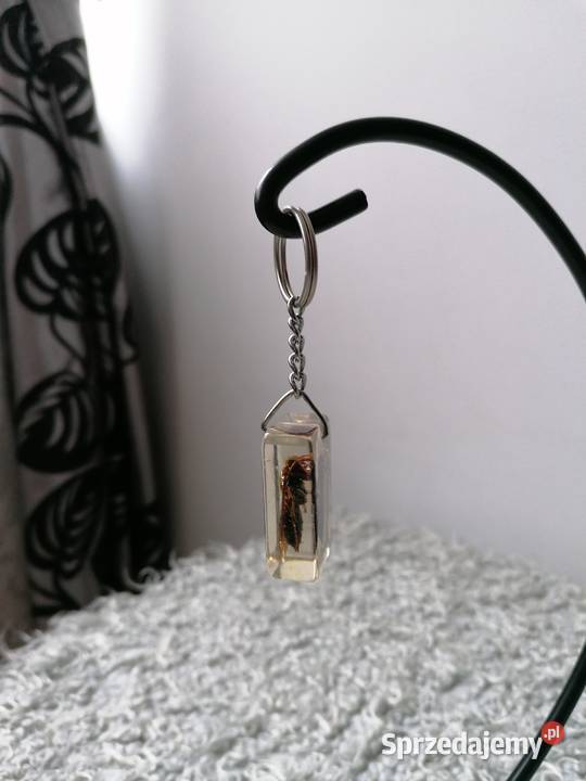 BRYLOCZEKPSZCZOŁA W ŻYWICY sprzedam