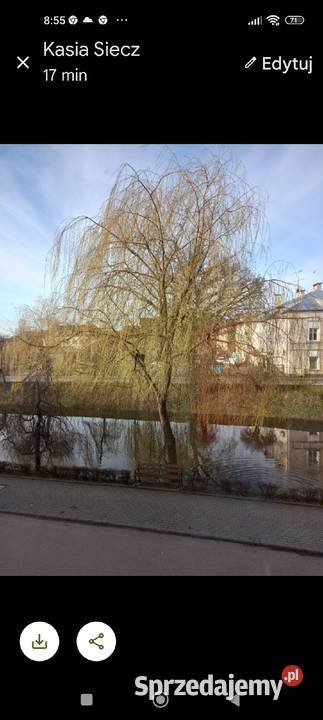 Banknot kolekcjonerski 100 z 1948 roku seria DN