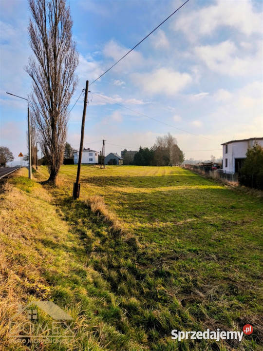 Grunt 2443 metry Gorzyce