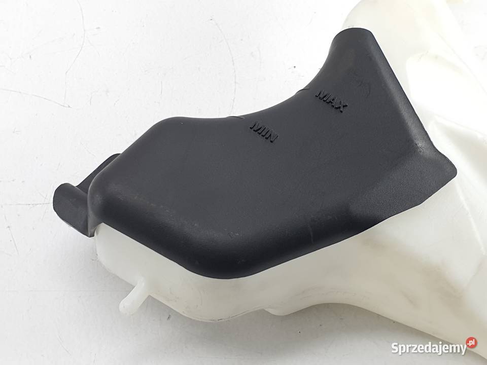 Zbiorniczek Wyrownawczy Plynu Triumph Speed