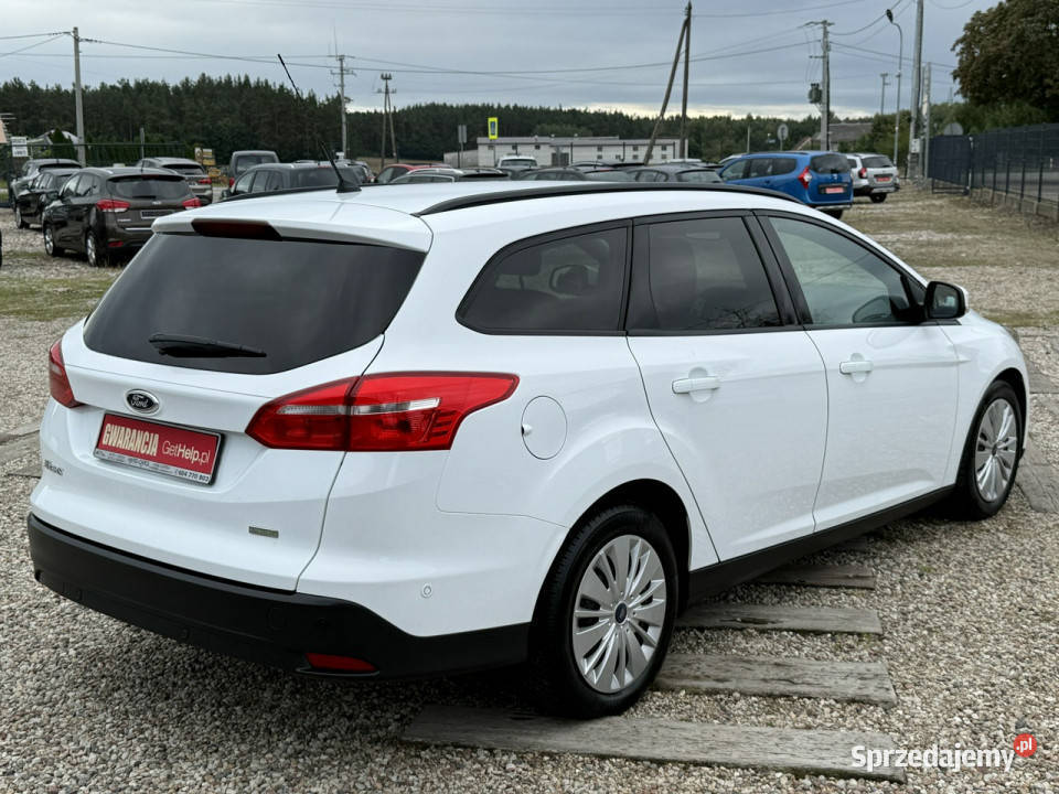Ford Focus navinowy rozrządsuper stanz Niemiec 170238km Ford Dąbrowa