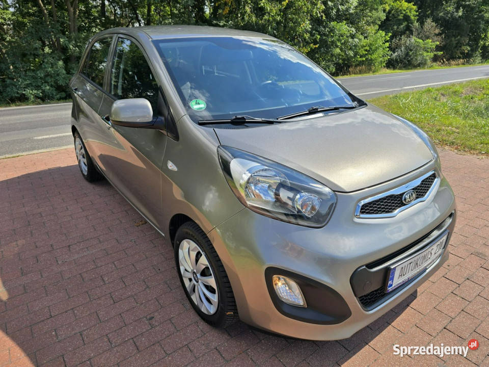 Kia Picanto Kia Picanto 10 benzynka z niskim manualna Cielcza