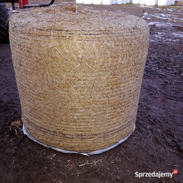 Sprzedam słome owiniętą prasie Mchele Burszewo