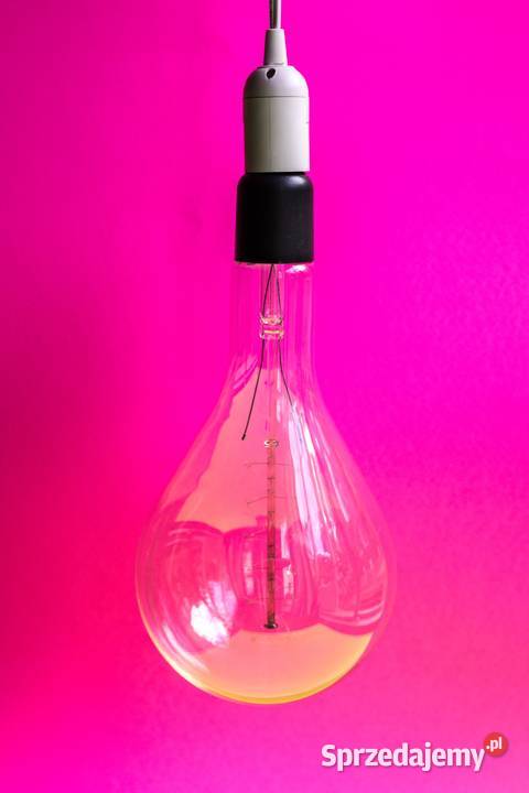 Biznesplan dotacje LGD PuP ARiMR PARP Młody Prawnicy Lublin