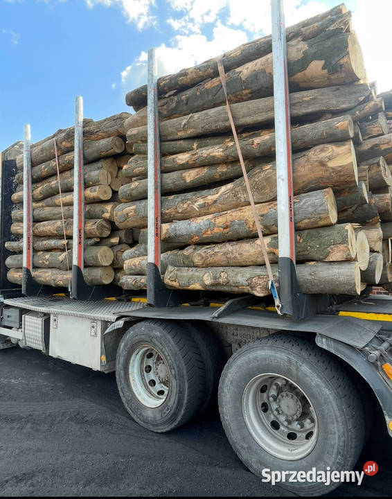 Buk opałowy z transportem Opole