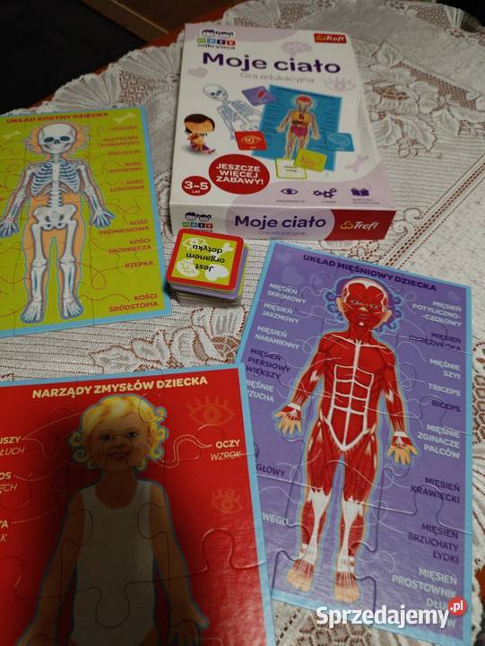 moje ciało gra edukacyjna mały odkrywca wielkopolskie Poznań