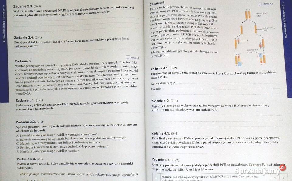 Biologia na czasie 4 Maturalne karty pracy B Chełm sprzedam
