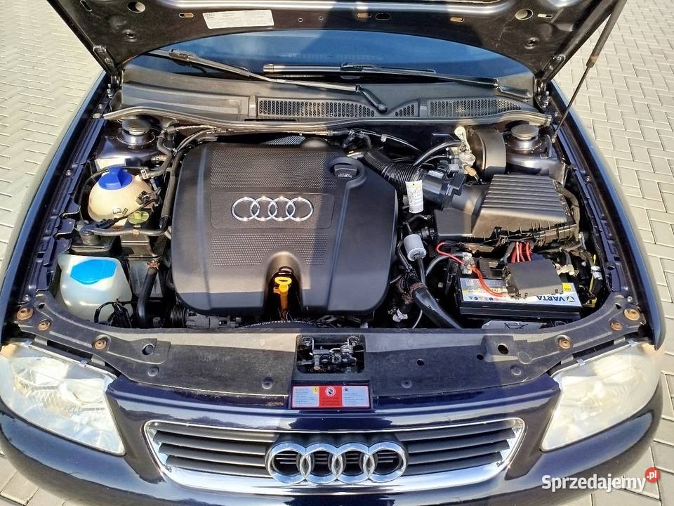 A3 8l 16 Benzyna Gaz sekwencja 2002 5 drzwi