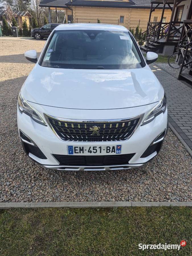 Peugeot 3008 Zator