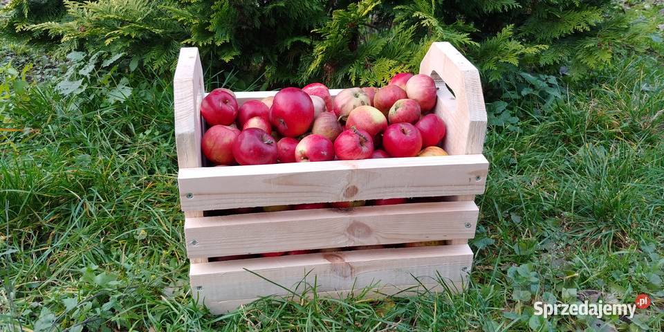 Kwietniki drewniane różne ozdoby do ogrodu świętokrzyskie Morawica