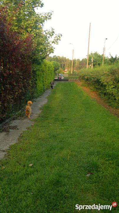DZIAŁKA 1200m2 WARSZAWA WESOŁA szambo Warszawa
