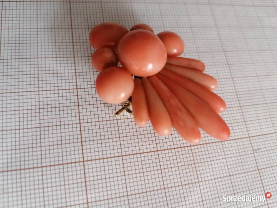 Broszka Koral Antyk Złoto IXX w Białystok