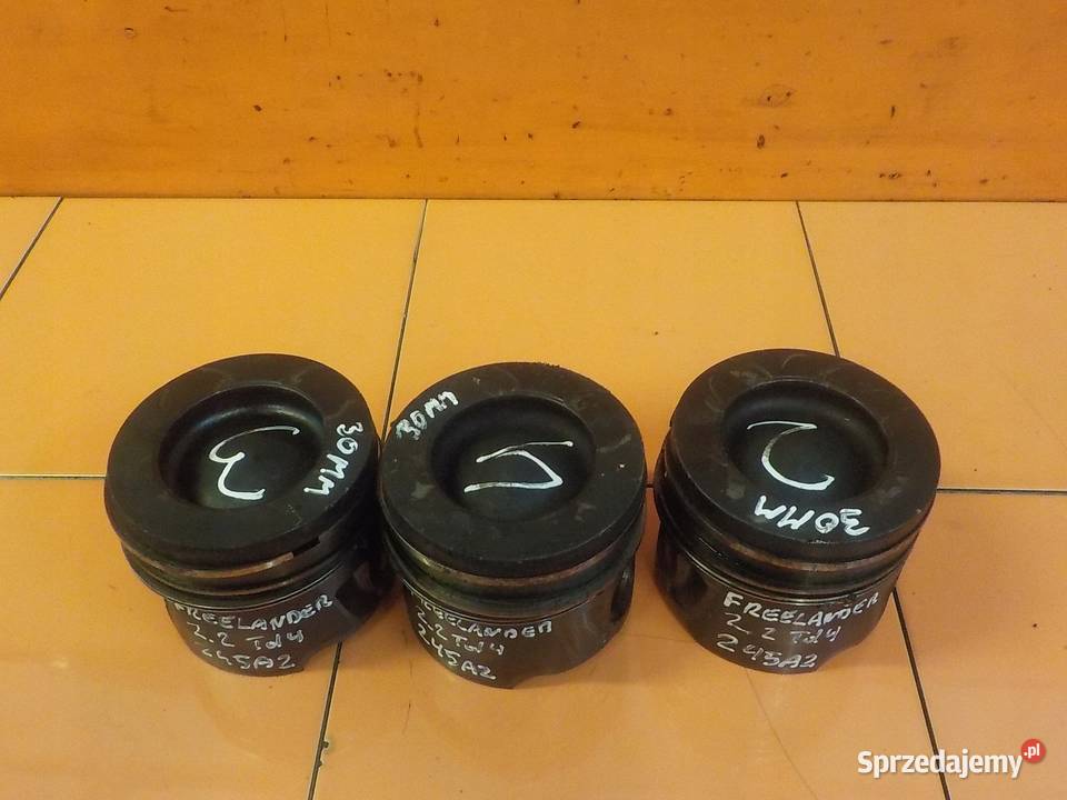 LAND ROVER FREELANDER II 22 TD4 09r 160 224DT Suków