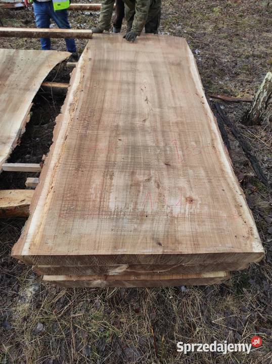 Monolit topola240x124x115x10 dąb jesion klon mazowieckie Przysucha