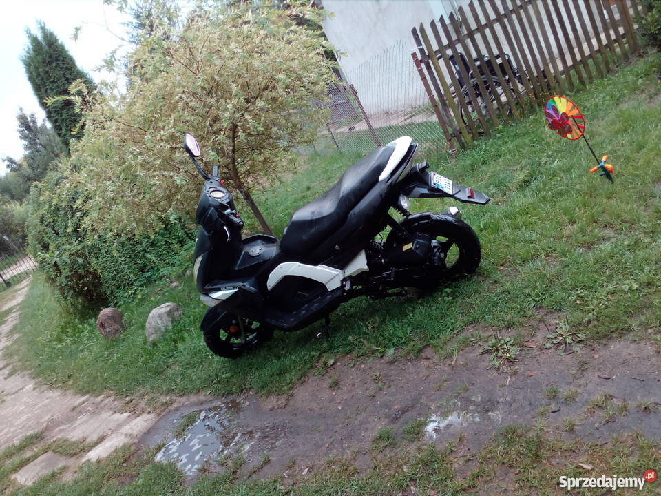 Zumico Avatar Okonek