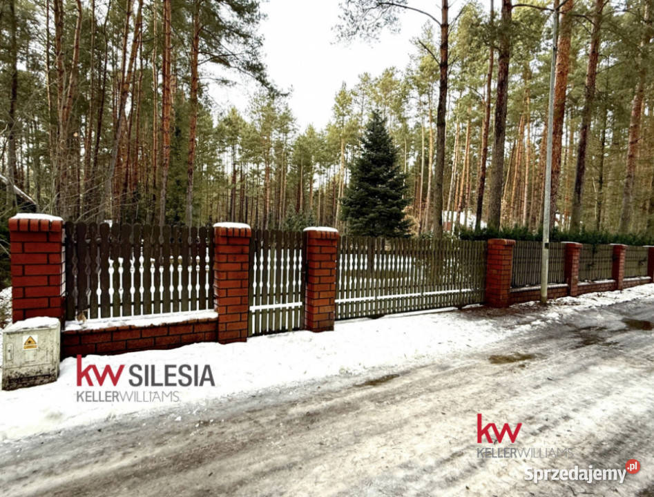 Grunt Masłońskie 3866m2