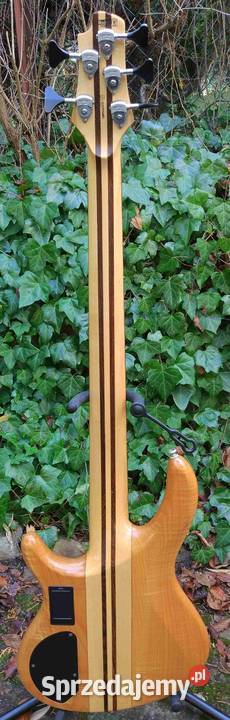 Gitara basowa Cort A5 aktywna Korea Tuszyn sprzedam
