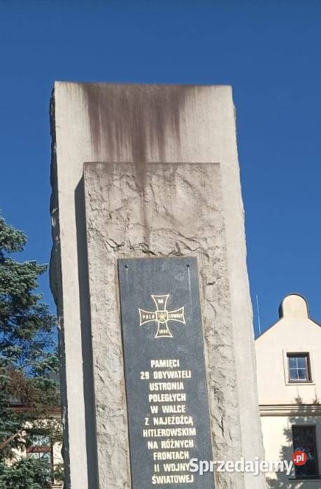 Laser pulsacyjny do czyszczenia Wielbark sprzedam