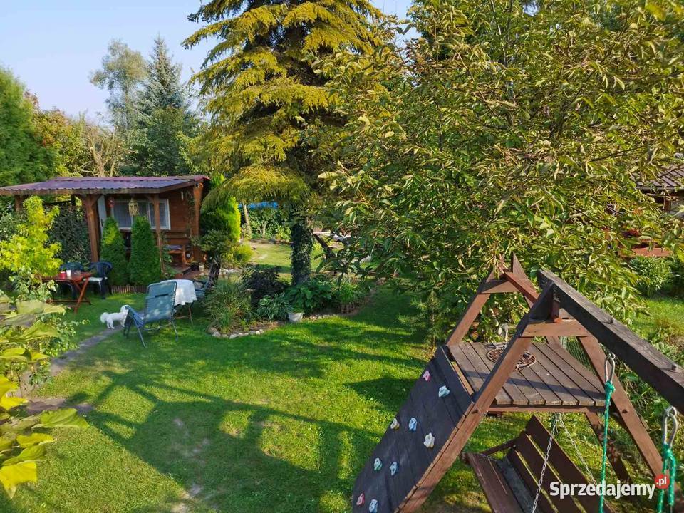 Działka ROD rekreacyjna Rzeszów sprzedam