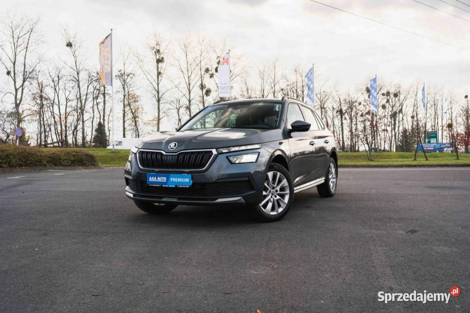 Skoda Kamiq 10 TSI przyciemniane szyby Zabrze