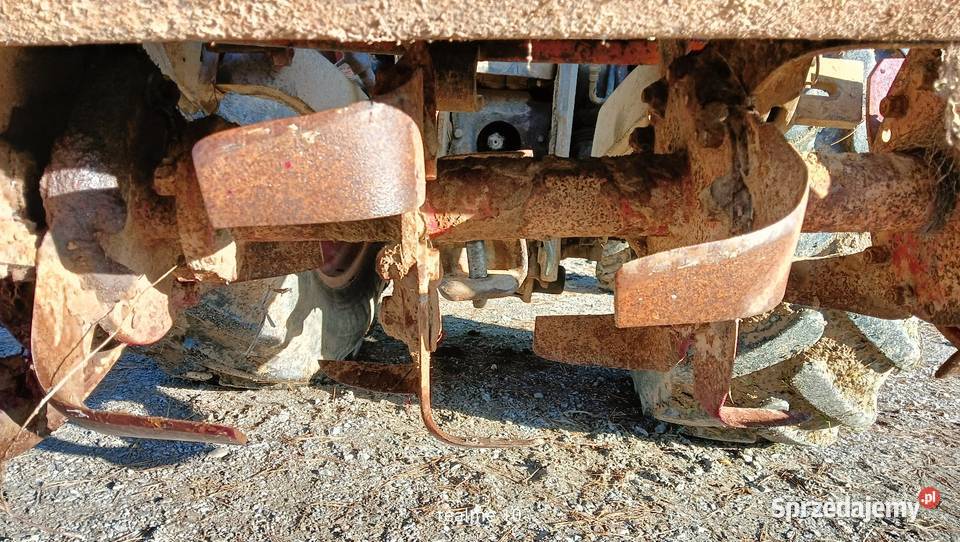 Karczownik glebogryzarka Ostrów-Kolonia