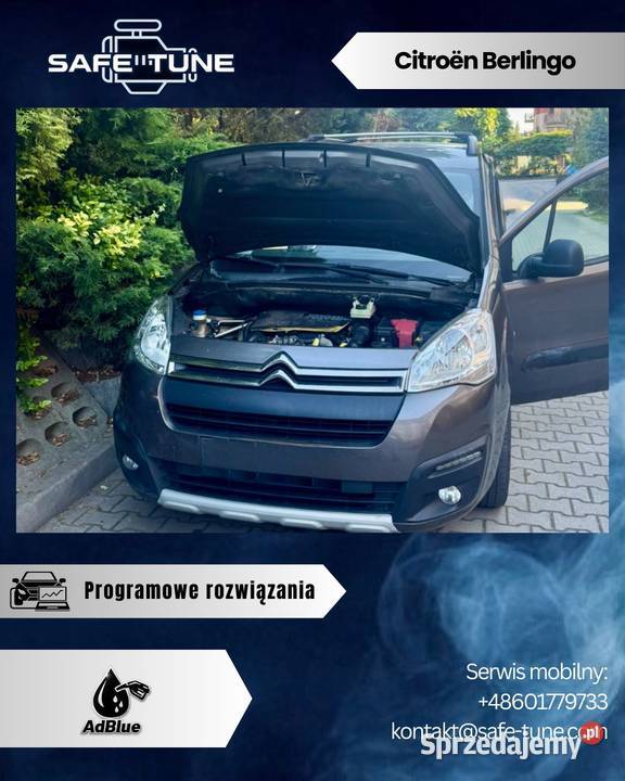 Usuwanie ADBLUE BUSYOSOBOWEDOSTAWCZE DPFEGRMOC Warszawa