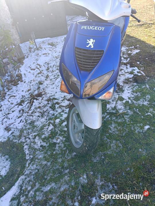 Skuter Peugeot 50 3 brak ubezpieczenia i Więcbork