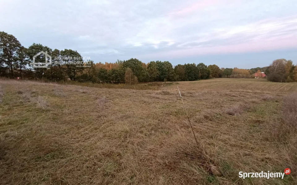 sprzedaży gruntu Skrzeszewo 1070m2 utwardzona