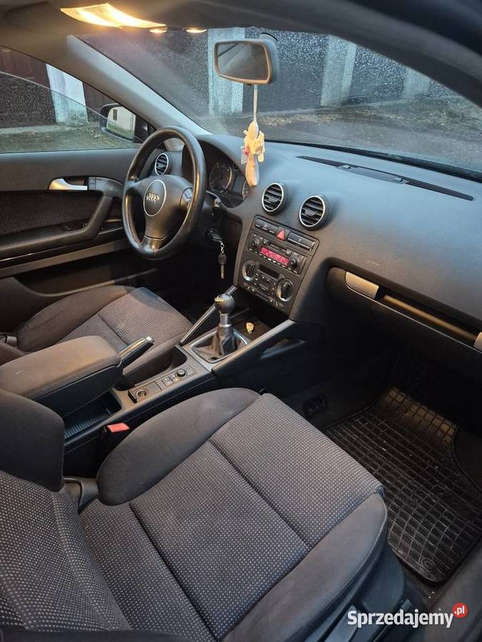 Sorzedam Audi a3 8p 19tdi Katowice