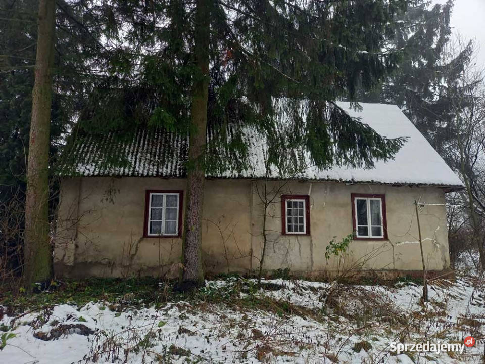 Siedlisko z potencjałem 55 arów w Draganach Dragany sprzedam