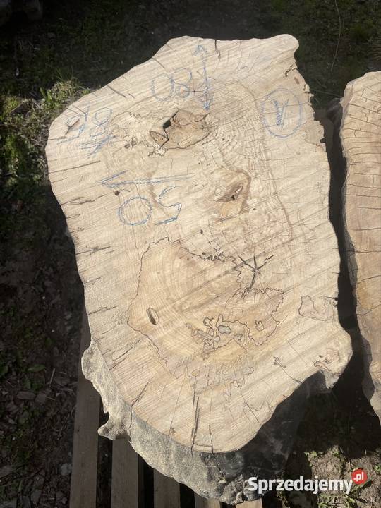 Plaster jesion orzech stolik kawowy live edge mazowieckie Przysucha