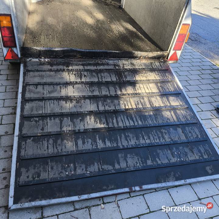 Przyczepa koni Star Trailer Dąbrowa Tarnowska