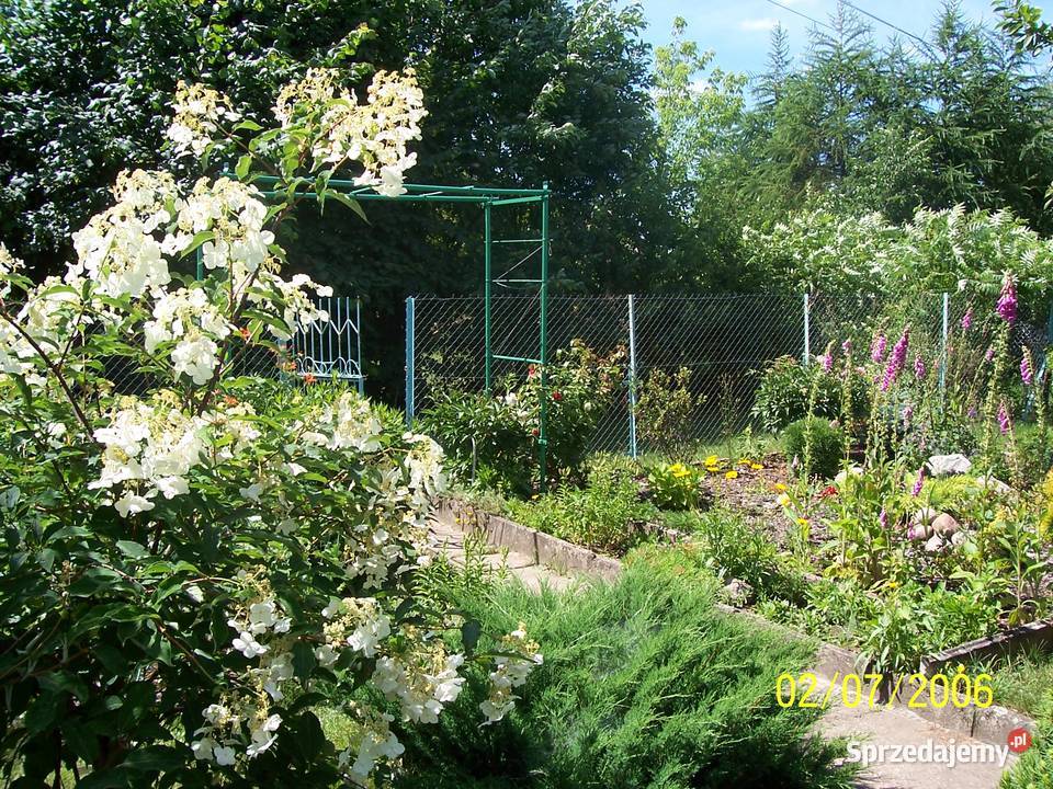 Sprzedam działkę ROD Jaroszówka rekreacyjna podlaskie Białystok sprzedam