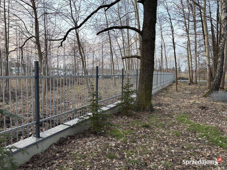 Przęsło ogrodzeniowe 300cmx150 Ocynk ogniowy Pod małopolskie Lipinki