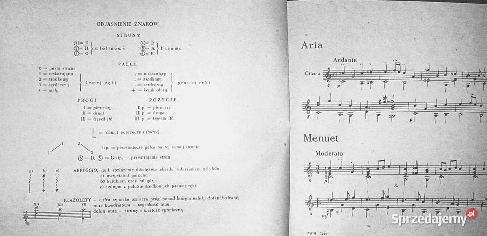 Pierwsze kroki gitarzysty Józef Powroźniak Chełm sprzedam