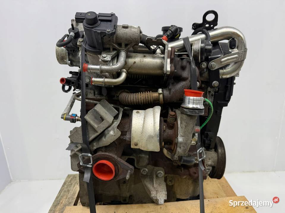 SILNIK K9K808 Renault Kangoo II 15 DCI 75 diesel Chełm