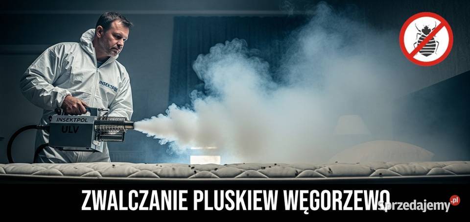 Zwalczanie pluskiew Węgorzewo Dezynsekcja
