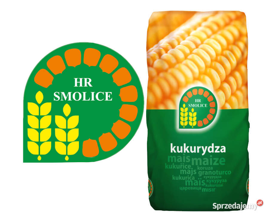 Materiał siewny kukurydza SM Prezent FAO 240250 sprzedam