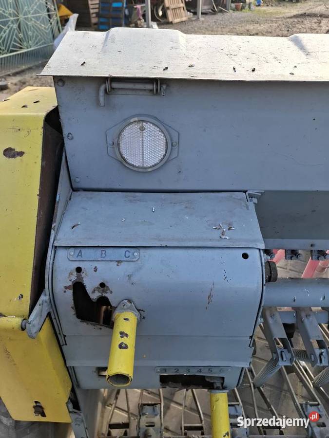 Siewnik poznaniak łódzkie Wieluń