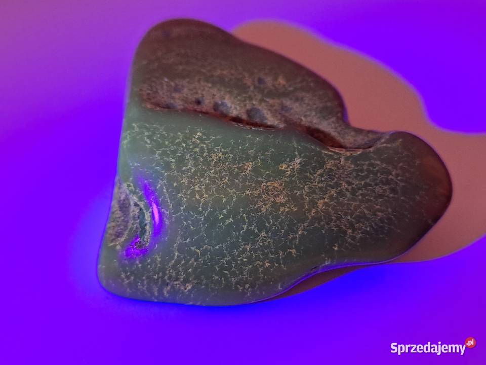 Broszka z bursztynu bursztyn bryłka 1497 mazowieckie Warszawa